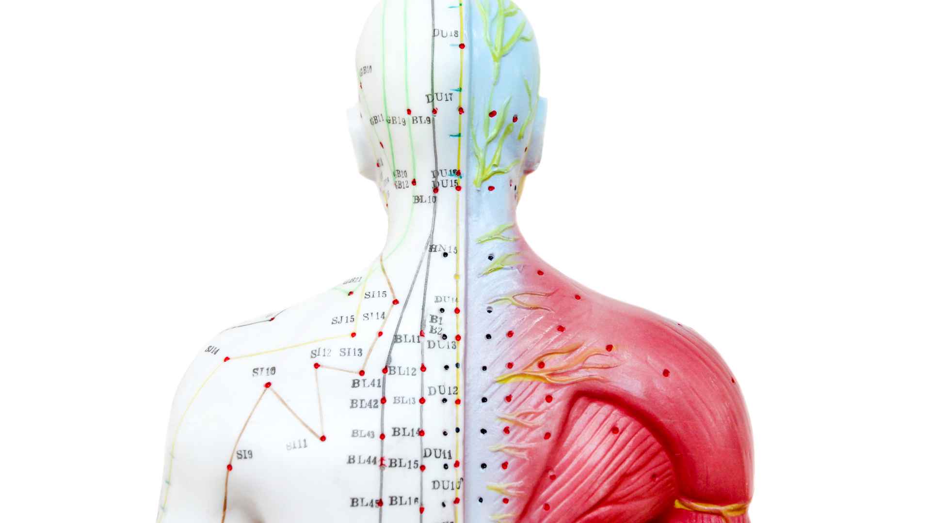 acupuncture-balanced-body-6